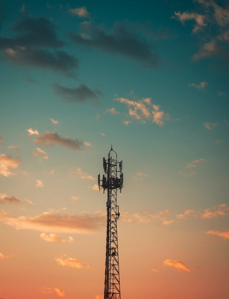 pexels-vanderlei-longo-2081132 (1)